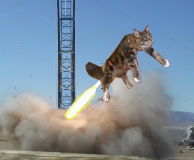 cat_rocket.jpg